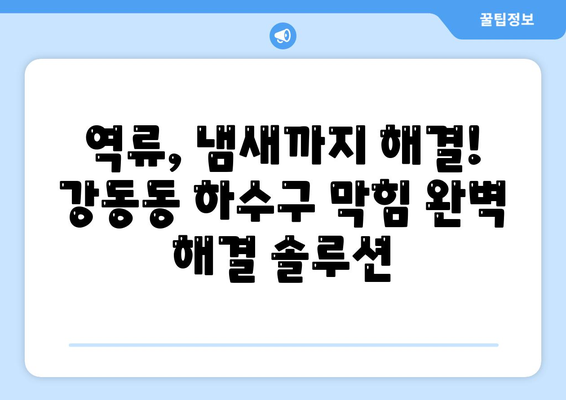 울산시 북구 강동동 하수구막힘 | 가격 | 비용 | 기름제거 | 싱크대 | 변기 | 세면대 | 역류 | 냄새차단 | 2024 후기