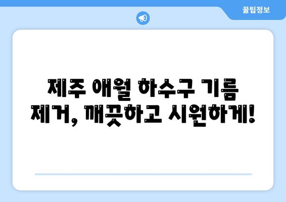 제주도 제주시 애월읍 하수구막힘 | 가격 | 비용 | 기름제거 | 싱크대 | 변기 | 세면대 | 역류 | 냄새차단 | 2024 후기