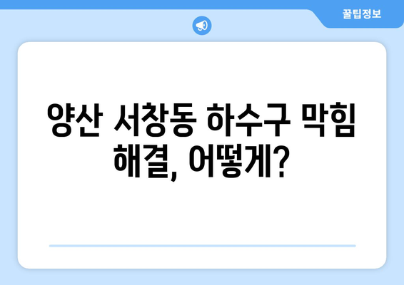 경상남도 양산시 서창동 하수구막힘 | 가격 | 비용 | 기름제거 | 싱크대 | 변기 | 세면대 | 역류 | 냄새차단 | 2024 후기