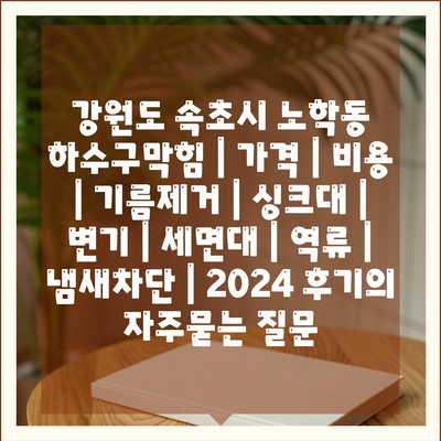 강원도 속초시 노학동 하수구막힘 | 가격 | 비용 | 기름제거 | 싱크대 | 변기 | 세면대 | 역류 | 냄새차단 | 2024 후기