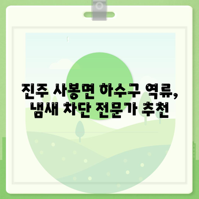 경상남도 진주시 사봉면 하수구막힘 | 가격 | 비용 | 기름제거 | 싱크대 | 변기 | 세면대 | 역류 | 냄새차단 | 2024 후기