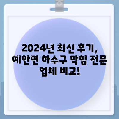 경상북도 안동시 예안면 하수구막힘 | 가격 | 비용 | 기름제거 | 싱크대 | 변기 | 세면대 | 역류 | 냄새차단 | 2024 후기