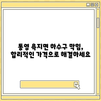 경상남도 통영시 욕지면 하수구막힘 | 가격 | 비용 | 기름제거 | 싱크대 | 변기 | 세면대 | 역류 | 냄새차단 | 2024 후기