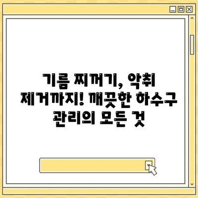 대구시 남구 대명11동 하수구막힘 | 가격 | 비용 | 기름제거 | 싱크대 | 변기 | 세면대 | 역류 | 냄새차단 | 2024 후기