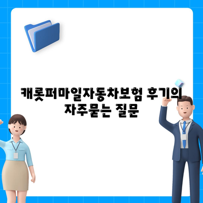 캐롯퍼마일자동차보험 후기