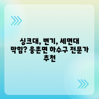 울산시 울주군 웅촌면 하수구막힘 | 가격 | 비용 | 기름제거 | 싱크대 | 변기 | 세면대 | 역류 | 냄새차단 | 2024 후기