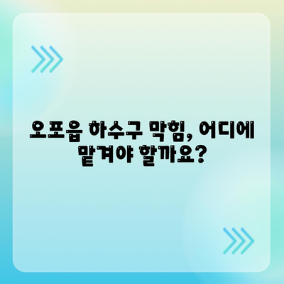 경기도 광주시 오포읍 하수구막힘 | 가격 | 비용 | 기름제거 | 싱크대 | 변기 | 세면대 | 역류 | 냄새차단 | 2024 후기