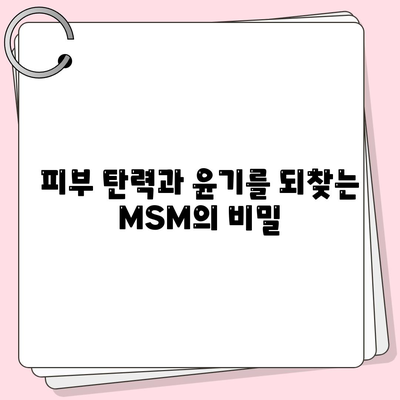 MSM 효능