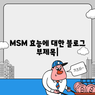 MSM 효능