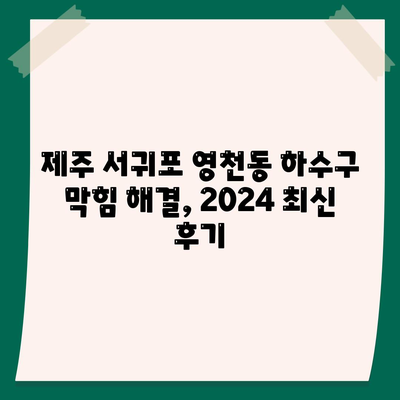 제주도 서귀포시 영천동 하수구막힘 | 가격 | 비용 | 기름제거 | 싱크대 | 변기 | 세면대 | 역류 | 냄새차단 | 2024 후기