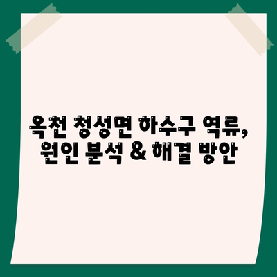 충청북도 옥천군 청성면 하수구막힘 | 가격 | 비용 | 기름제거 | 싱크대 | 변기 | 세면대 | 역류 | 냄새차단 | 2024 후기