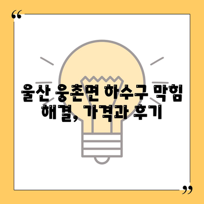 울산시 울주군 웅촌면 하수구막힘 | 가격 | 비용 | 기름제거 | 싱크대 | 변기 | 세면대 | 역류 | 냄새차단 | 2024 후기