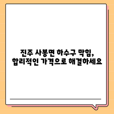 경상남도 진주시 사봉면 하수구막힘 | 가격 | 비용 | 기름제거 | 싱크대 | 변기 | 세면대 | 역류 | 냄새차단 | 2024 후기