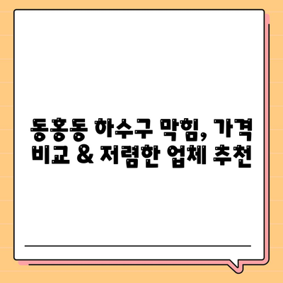 제주도 서귀포시 동홍동 하수구막힘 | 가격 | 비용 | 기름제거 | 싱크대 | 변기 | 세면대 | 역류 | 냄새차단 | 2024 후기