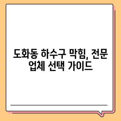 서울시 마포구 도화동 하수구막힘 | 가격 | 비용 | 기름제거 | 싱크대 | 변기 | 세면대 | 역류 | 냄새차단 | 2024 후기