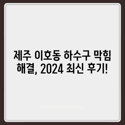 제주도 제주시 이호동 하수구막힘 | 가격 | 비용 | 기름제거 | 싱크대 | 변기 | 세면대 | 역류 | 냄새차단 | 2024 후기