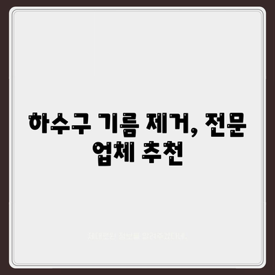 서울시 구로구 구로제5동 하수구막힘 | 가격 | 비용 | 기름제거 | 싱크대 | 변기 | 세면대 | 역류 | 냄새차단 | 2024 후기