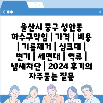 울산시 중구 성안동 하수구막힘 | 가격 | 비용 | 기름제거 | 싱크대 | 변기 | 세면대 | 역류 | 냄새차단 | 2024 후기