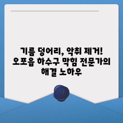 경기도 광주시 오포읍 하수구막힘 | 가격 | 비용 | 기름제거 | 싱크대 | 변기 | 세면대 | 역류 | 냄새차단 | 2024 후기