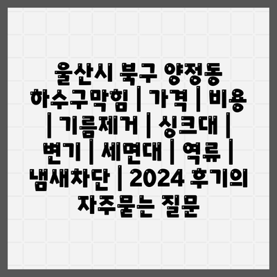 울산시 북구 양정동 하수구막힘 | 가격 | 비용 | 기름제거 | 싱크대 | 변기 | 세면대 | 역류 | 냄새차단 | 2024 후기