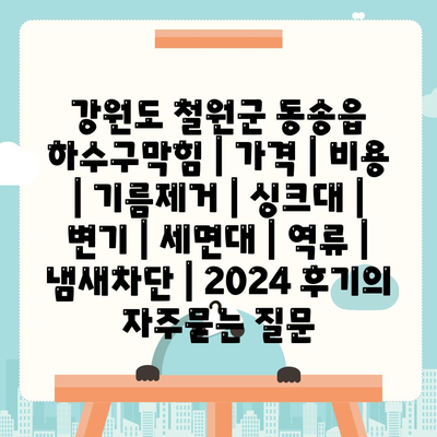 강원도 철원군 동송읍 하수구막힘 | 가격 | 비용 | 기름제거 | 싱크대 | 변기 | 세면대 | 역류 | 냄새차단 | 2024 후기