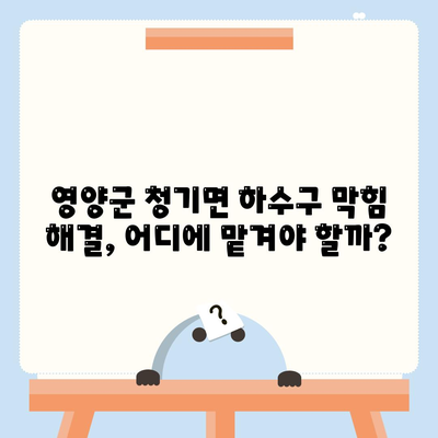 경상북도 영양군 청기면 하수구막힘 | 가격 | 비용 | 기름제거 | 싱크대 | 변기 | 세면대 | 역류 | 냄새차단 | 2024 후기