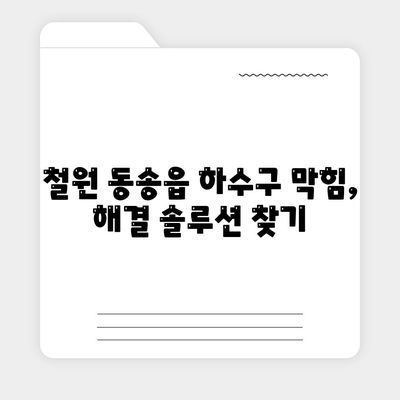 강원도 철원군 동송읍 하수구막힘 | 가격 | 비용 | 기름제거 | 싱크대 | 변기 | 세면대 | 역류 | 냄새차단 | 2024 후기