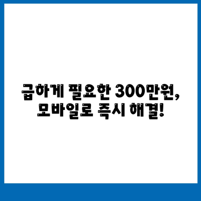 모바일 소액대출 300만원