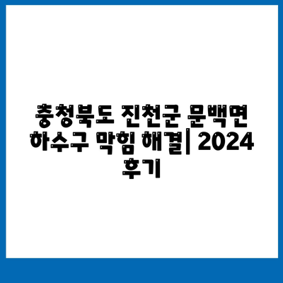 충청북도 진천군 문백면 하수구막힘 | 가격 | 비용 | 기름제거 | 싱크대 | 변기 | 세면대 | 역류 | 냄새차단 | 2024 후기