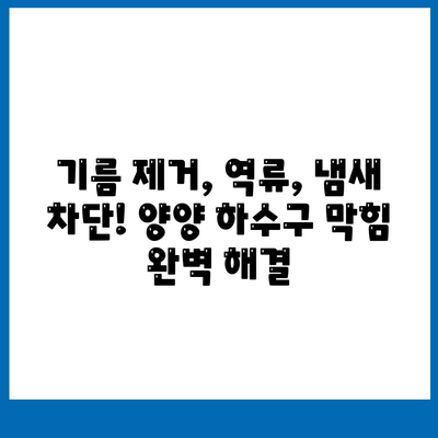 강원도 양양군 양양읍 하수구막힘 | 가격 | 비용 | 기름제거 | 싱크대 | 변기 | 세면대 | 역류 | 냄새차단 | 2024 후기