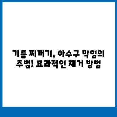 강원도 춘천시 소양로2동 하수구막힘 | 가격 | 비용 | 기름제거 | 싱크대 | 변기 | 세면대 | 역류 | 냄새차단 | 2024 후기