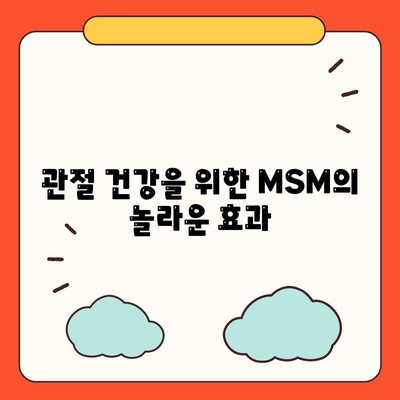 MSM 효능