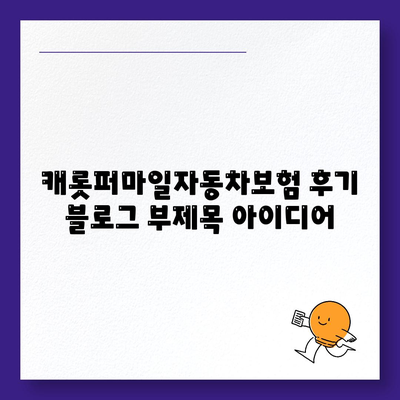 캐롯퍼마일자동차보험 후기