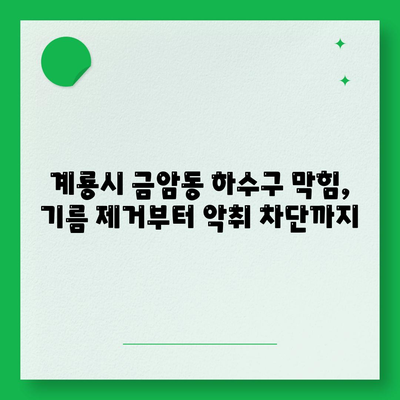 충청남도 계룡시 금암동 하수구막힘 | 가격 | 비용 | 기름제거 | 싱크대 | 변기 | 세면대 | 역류 | 냄새차단 | 2024 후기