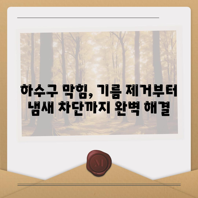 경상북도 영양군 청기면 하수구막힘 | 가격 | 비용 | 기름제거 | 싱크대 | 변기 | 세면대 | 역류 | 냄새차단 | 2024 후기