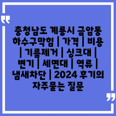 충청남도 계룡시 금암동 하수구막힘 | 가격 | 비용 | 기름제거 | 싱크대 | 변기 | 세면대 | 역류 | 냄새차단 | 2024 후기