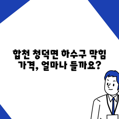 경상남도 합천군 청덕면 하수구막힘 | 가격 | 비용 | 기름제거 | 싱크대 | 변기 | 세면대 | 역류 | 냄새차단 | 2024 후기