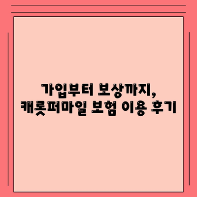 캐롯퍼마일자동차보험 후기