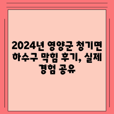 경상북도 영양군 청기면 하수구막힘 | 가격 | 비용 | 기름제거 | 싱크대 | 변기 | 세면대 | 역류 | 냄새차단 | 2024 후기