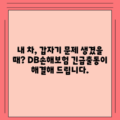 디비손해보험 긴급출동