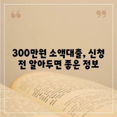 모바일 소액대출 300만원