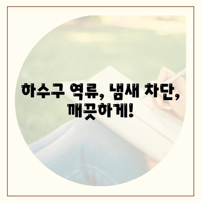 대전시 대덕구 송촌동 하수구막힘 | 가격 | 비용 | 기름제거 | 싱크대 | 변기 | 세면대 | 역류 | 냄새차단 | 2024 후기