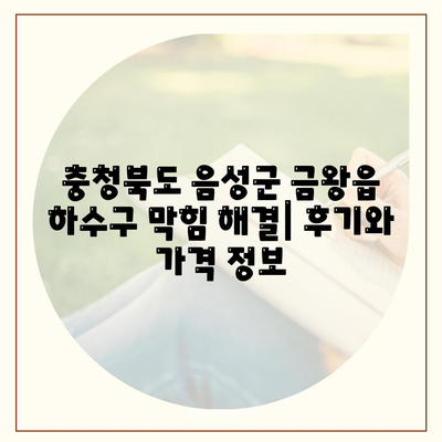 충청북도 음성군 금왕읍 하수구막힘 | 가격 | 비용 | 기름제거 | 싱크대 | 변기 | 세면대 | 역류 | 냄새차단 | 2024 후기