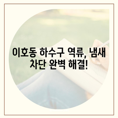 제주도 제주시 이호동 하수구막힘 | 가격 | 비용 | 기름제거 | 싱크대 | 변기 | 세면대 | 역류 | 냄새차단 | 2024 후기