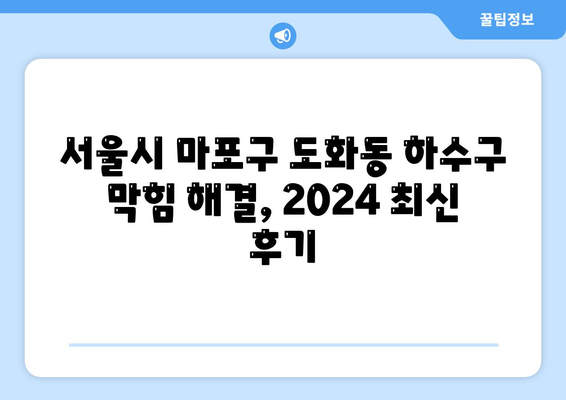 서울시 마포구 도화동 하수구막힘 | 가격 | 비용 | 기름제거 | 싱크대 | 변기 | 세면대 | 역류 | 냄새차단 | 2024 후기