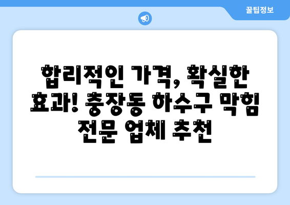 광주시 동구 충장동 하수구막힘 | 가격 | 비용 | 기름제거 | 싱크대 | 변기 | 세면대 | 역류 | 냄새차단 | 2024 후기