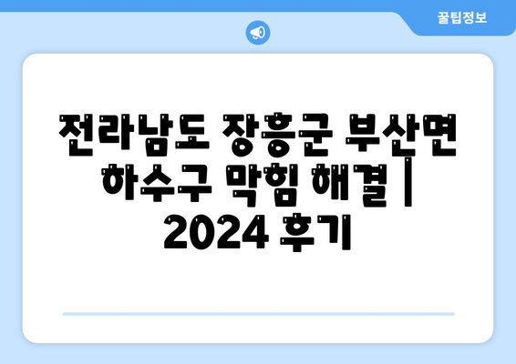 전라남도 장흥군 부산면 하수구막힘 | 가격 | 비용 | 기름제거 | 싱크대 | 변기 | 세면대 | 역류 | 냄새차단 | 2024 후기