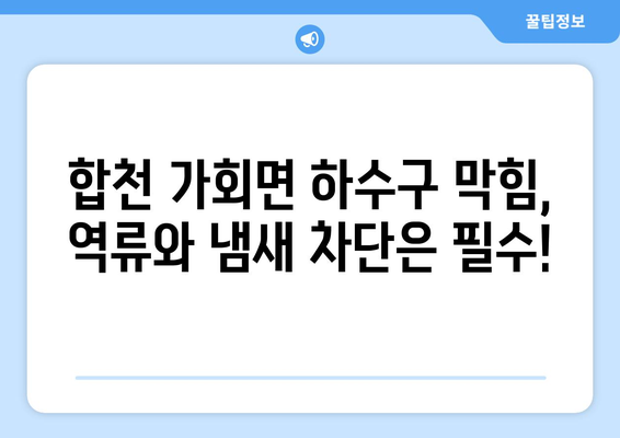 경상남도 합천군 가회면 하수구막힘 | 가격 | 비용 | 기름제거 | 싱크대 | 변기 | 세면대 | 역류 | 냄새차단 | 2024 후기