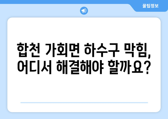 경상남도 합천군 가회면 하수구막힘 | 가격 | 비용 | 기름제거 | 싱크대 | 변기 | 세면대 | 역류 | 냄새차단 | 2024 후기