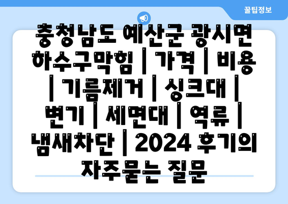 충청남도 예산군 광시면 하수구막힘 | 가격 | 비용 | 기름제거 | 싱크대 | 변기 | 세면대 | 역류 | 냄새차단 | 2024 후기